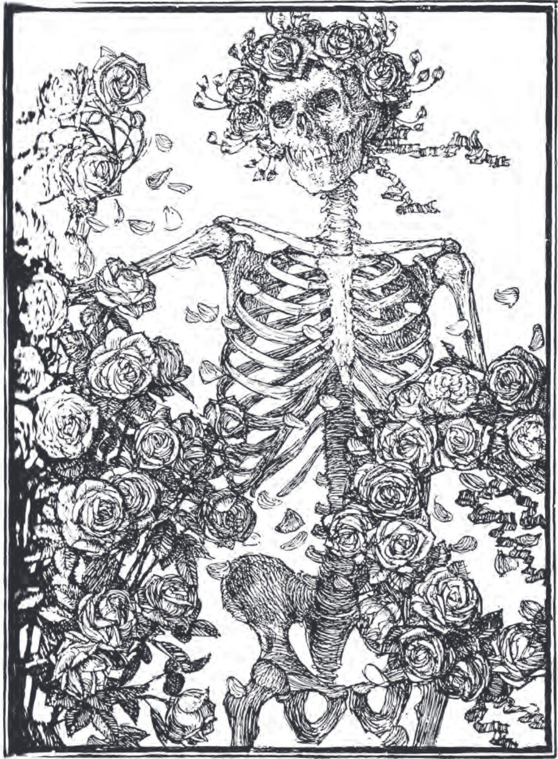 Edmund J Sullivan Illustrations to The Rubáiyát of Omar Khayyám
